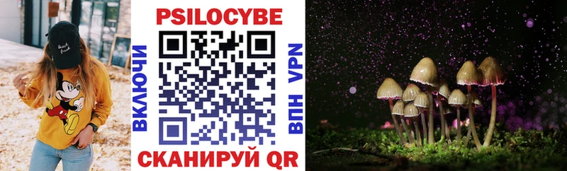 Купить  Киселёвск  Псилоцибиновые грибы GOLDEN TEACHER 